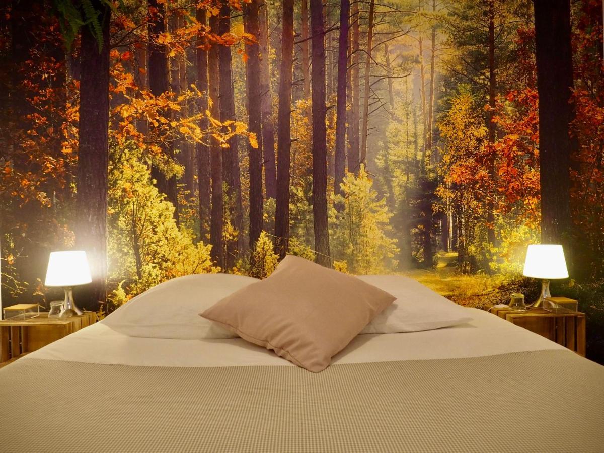 Studio Camino Real Saint-Jean-Pied-de-Port Luaran gambar
